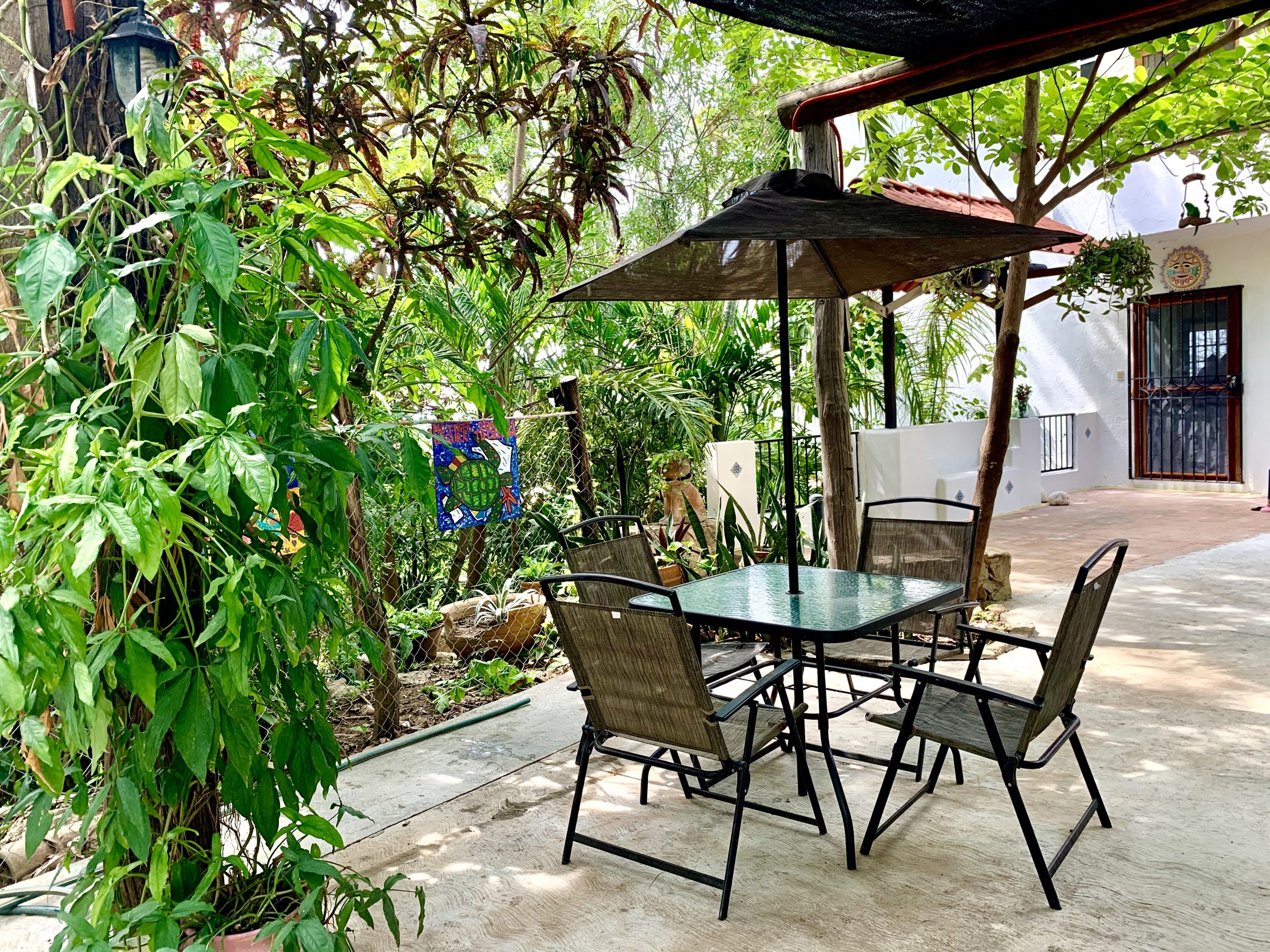 casa en renta Puerto Angel