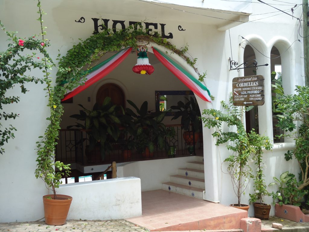 hoteles en Puerto Angel