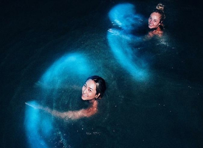 bioluminiscencia